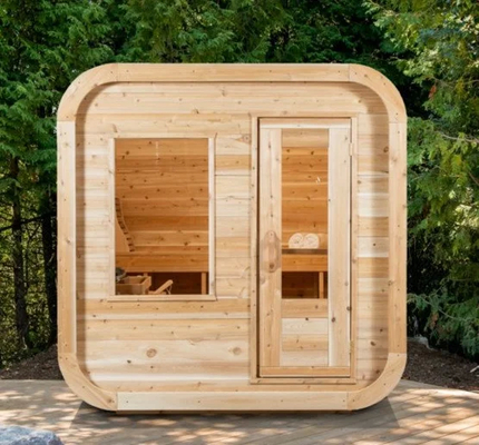 Sauna à vapeur d'ozone à vapeur de 220V avec générateur d'ozone