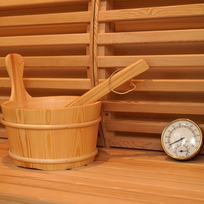Personne électrique de la pièce 2 de Heater Indoor Wooden Steam Sauna de fourneau de cigûe