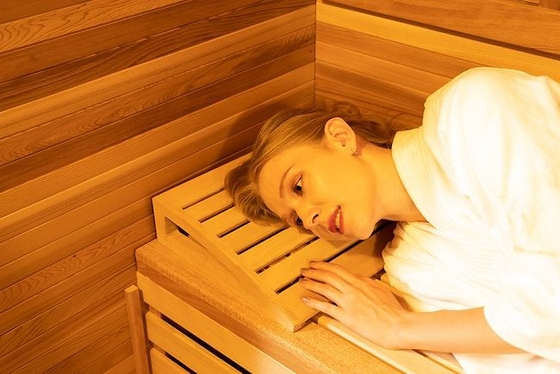 Conception unique de sauna sec extérieur rouge de Cedar Wood Traditional Stove Heater de 6 personnes