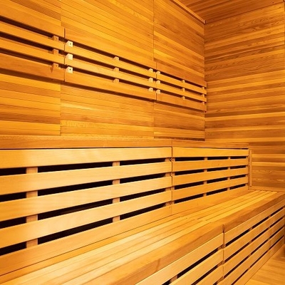 Sauna sec extérieur avec système de ventilation réglable Bluetooth