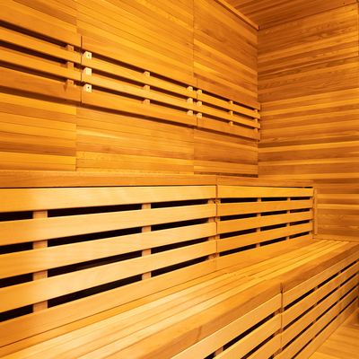 Salle de sauna à vapeur avec générateur d'ozone à LED et écran tactile