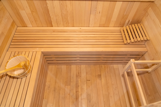 Sauna à vapeur d'ozone à vapeur de 220V avec générateur d'ozone