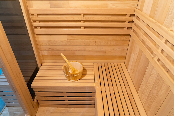 Sauna à vapeur en cèdre rouge avec lumière LED et générateur d'ozone Design moderne