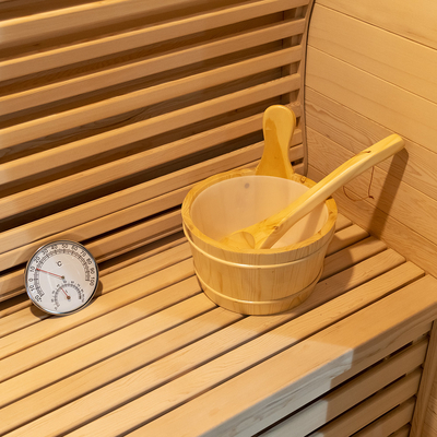 Sauna à vapeur de 15 à 90 ° C, avec 0 à 99 minutes de chronomètre et 220 V de tension