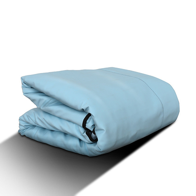 Couverture infrarouge lointaine adaptée aux besoins du client de sauna avec Bianstone